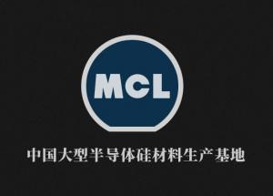 省人大常委會黨組副書記、副主任，洛陽市委書記江凌到麥斯克電子調研